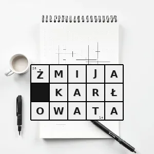 Rozwiązanie krzyżówki: żmije właściwe - żmija karłowata | hasła, synonimy i podpowiedzi Hasło krzyżówkowe żmije właściwe - żmija karłowata – rozwiązanie, synonimy, podpowiedzi i definicje krzyżówkowe